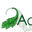 Acanthus Bloememotie