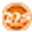DPS Company