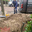 Ontstoppen Hoorn Riool, Afvoer, Wc &amp; Gootsteen